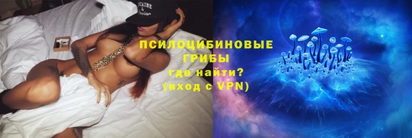 спиды Алзамай