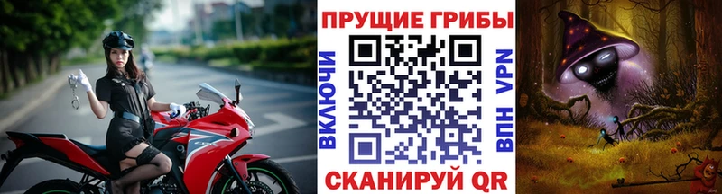Галлюциногенные грибы Cubensis  Грайворон 