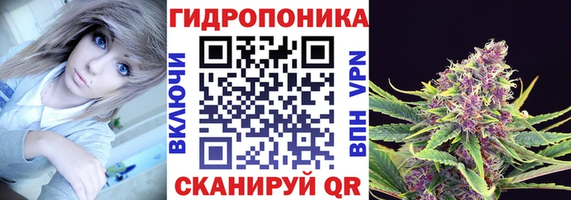 Канабис гибрид Грайворон